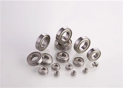 Stainless Steel Deep Groove Ball Bearing